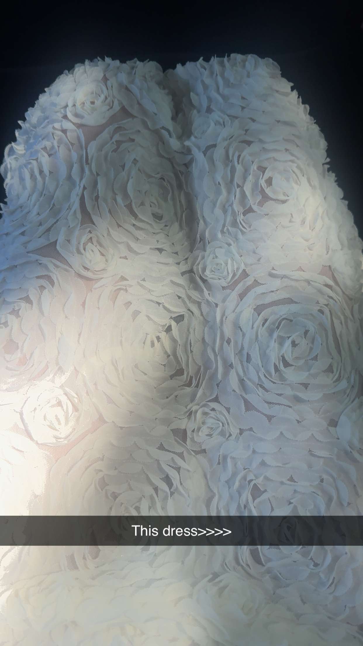 ppwyang0 snapchat image archive image