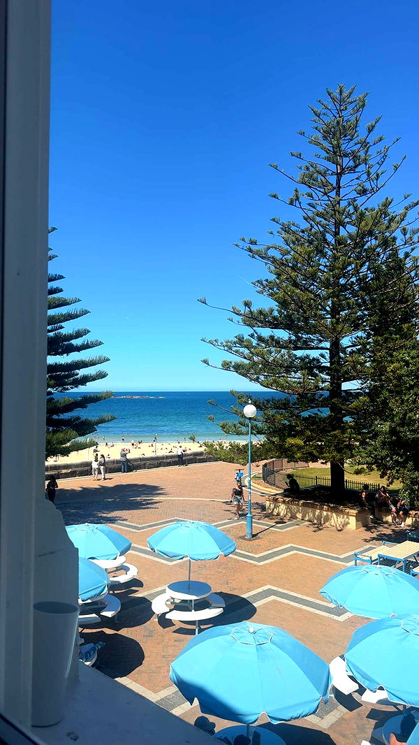 ppwyang0 image ~ Altpins