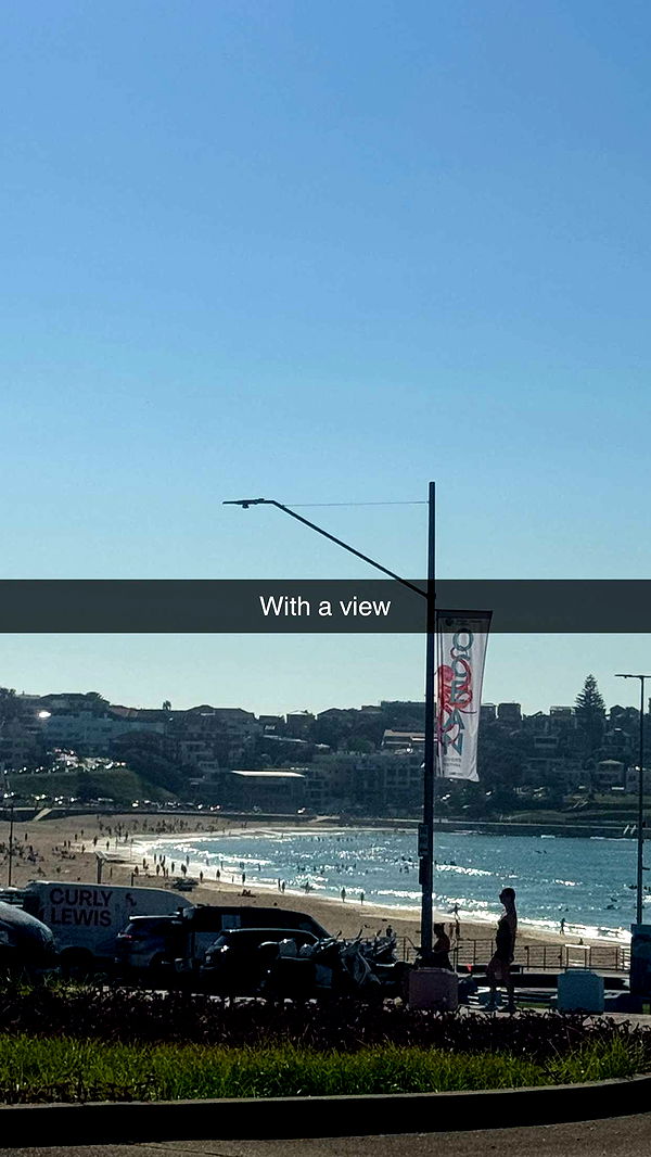 ppwyang0 image ~ Altpins