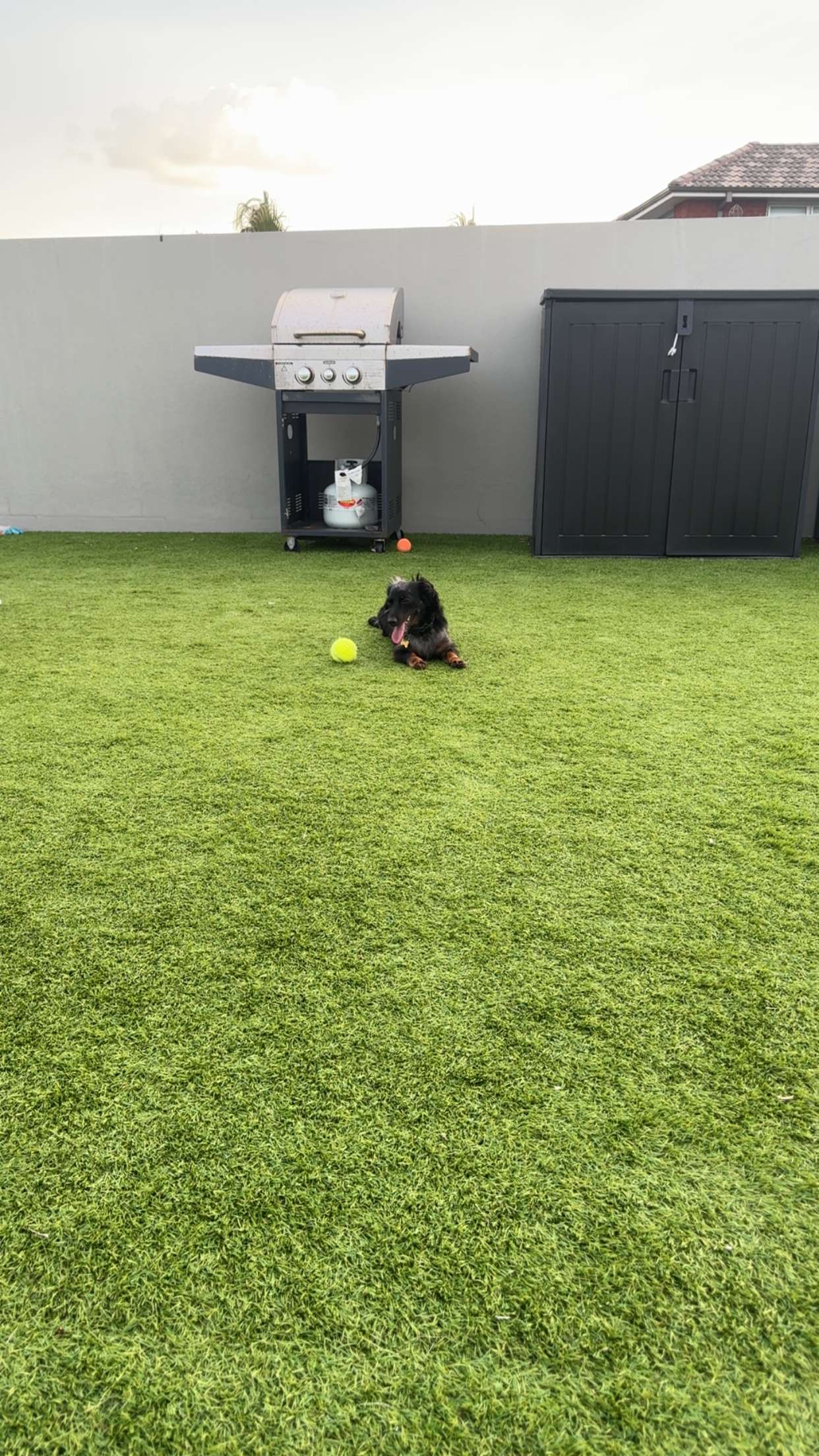 ppwyang0 snapchat image archive image