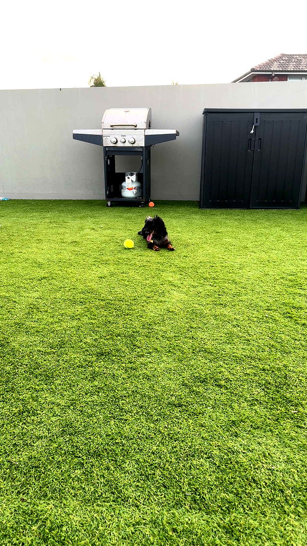 ppwyang0 image ~ Altpins