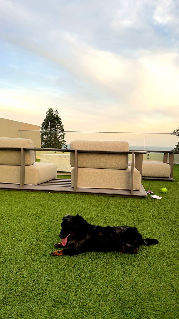 ppwyang0 image ~ Altpins