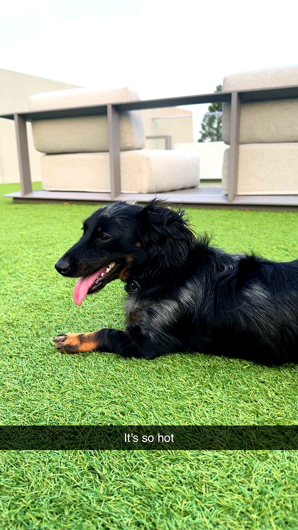 ppwyang0 image ~ Altpins