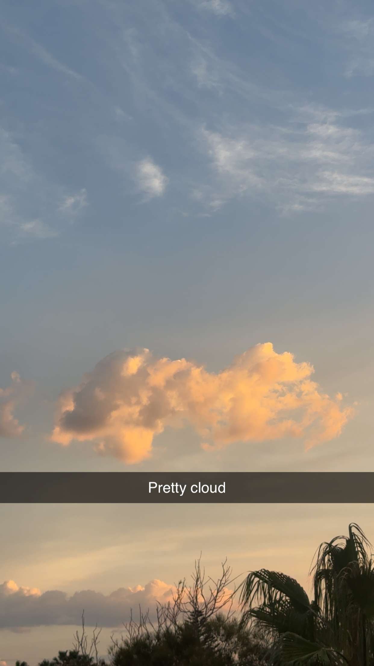 ppwyang0 snapchat image archive image