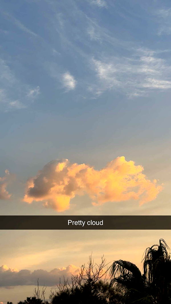 ppwyang0 image ~ Altpins