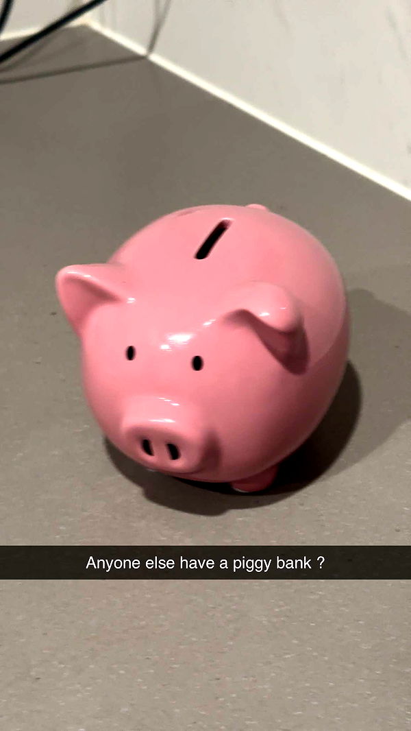 ppwyang0 image ~ Altpins