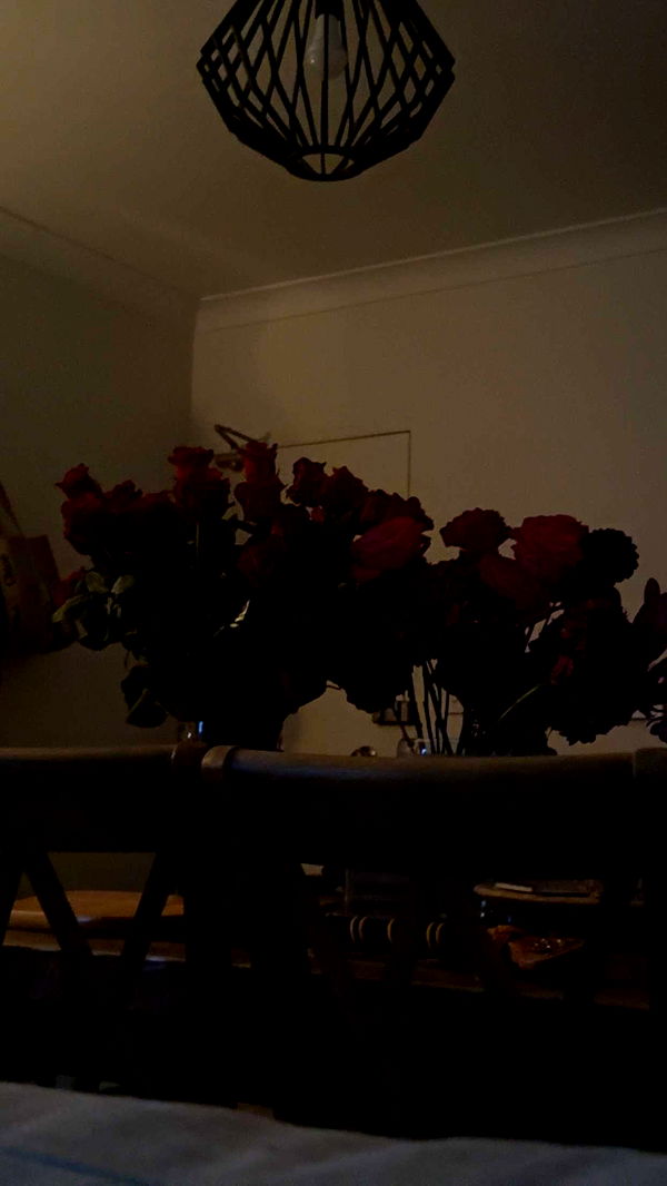 ppwyang0 image ~ Altpins