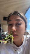 ppwyang0 Altpins Profile Picture
