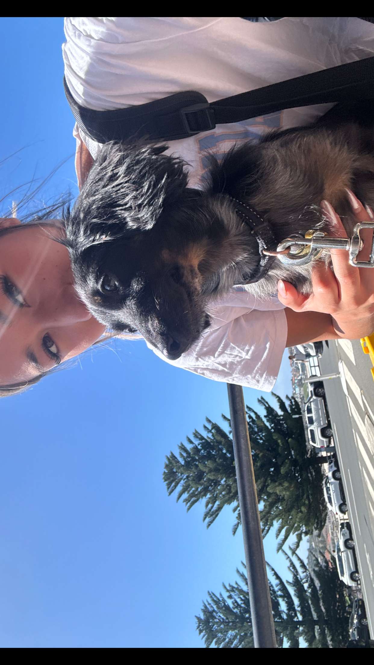 ppwyang0 snapchat image archive image