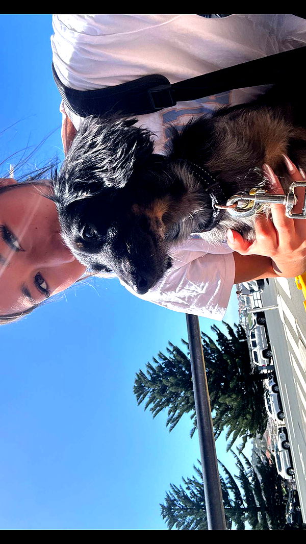 ppwyang0 image ~ Altpins