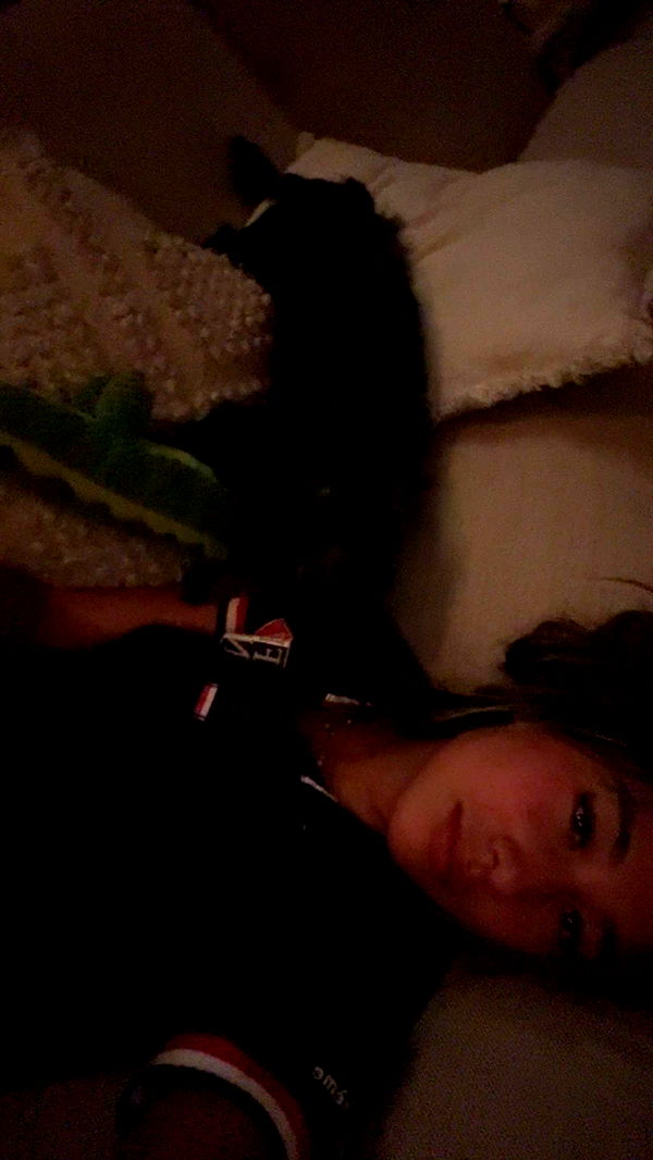 ppwyang0 image ~ Altpins