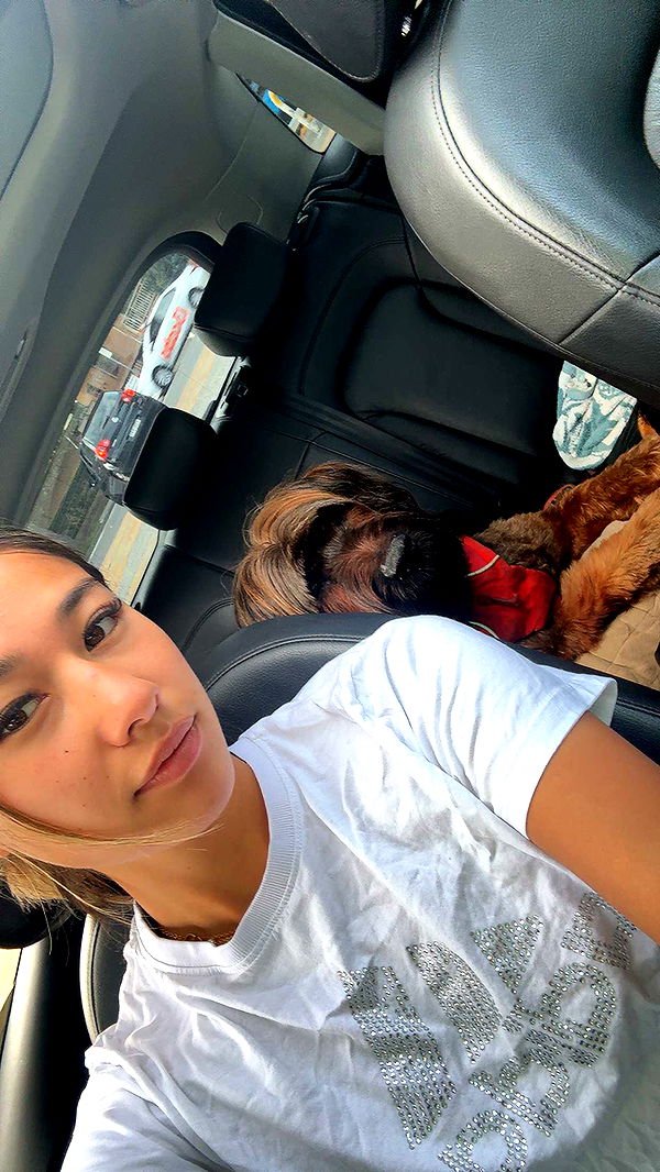 ppwyang0 image ~ Altpins