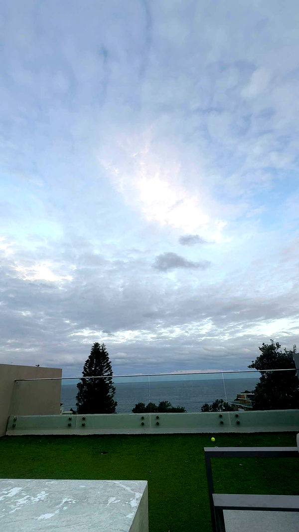 ppwyang0 image ~ Altpins