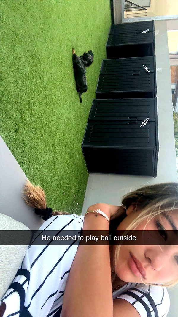 ppwyang0 image ~ Altpins