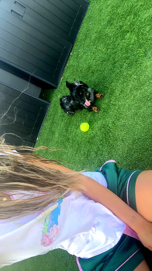 ppwyang0 image ~ Altpins