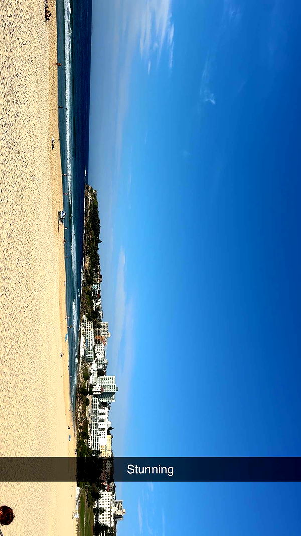 ppwyang0 image ~ Altpins