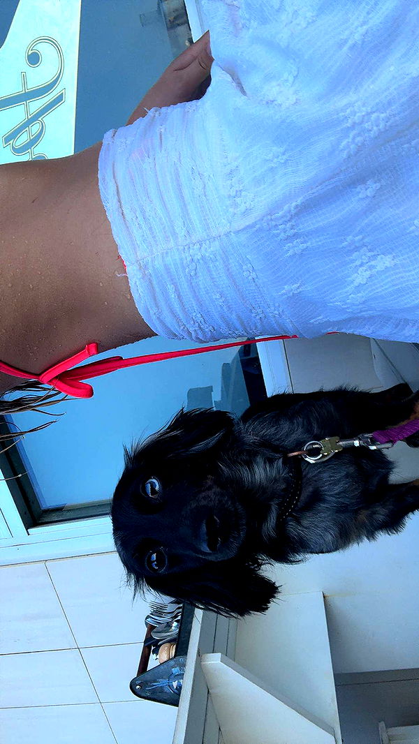 ppwyang0 image ~ Altpins