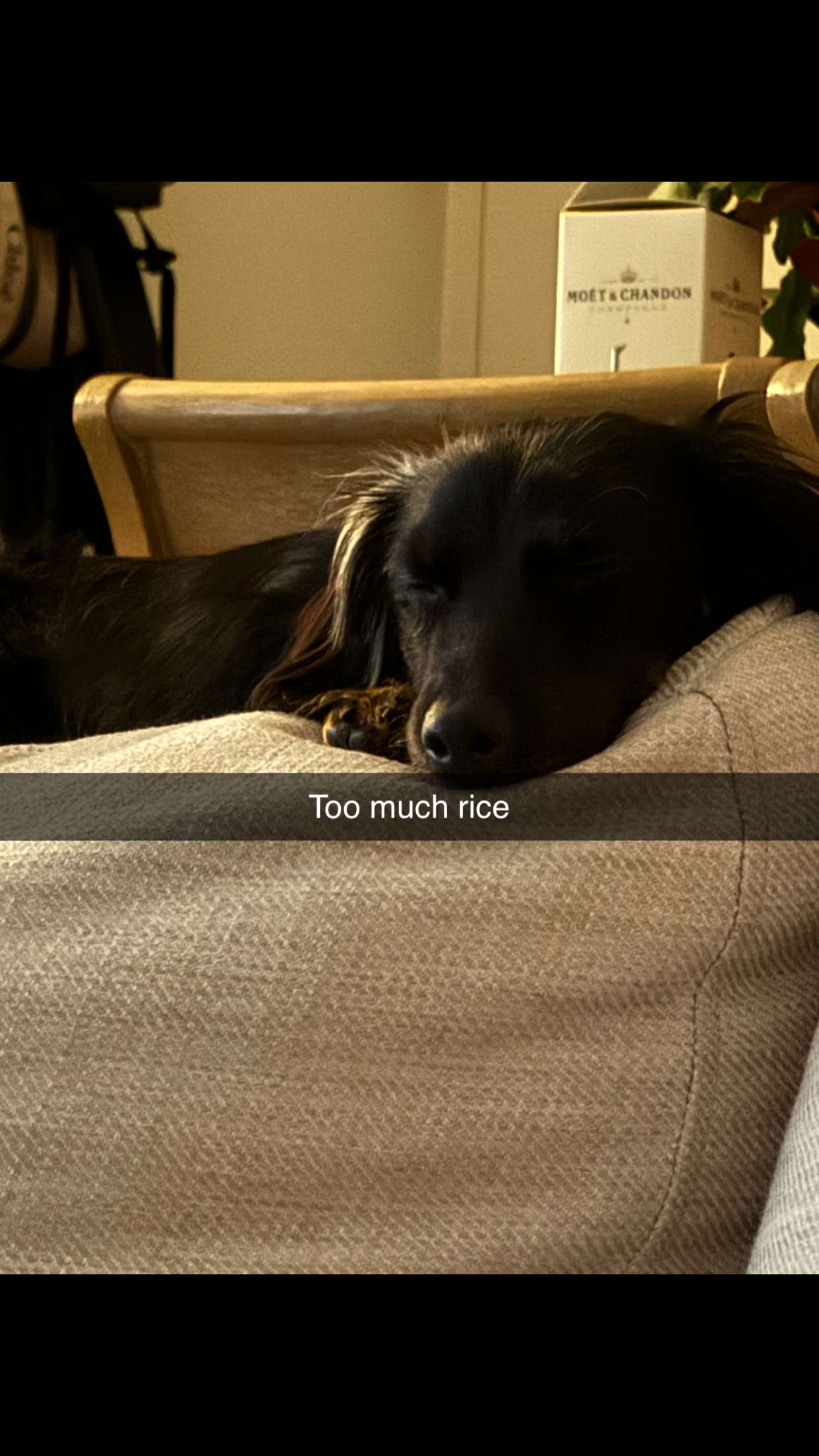 ppwyang0 snapchat image archive image