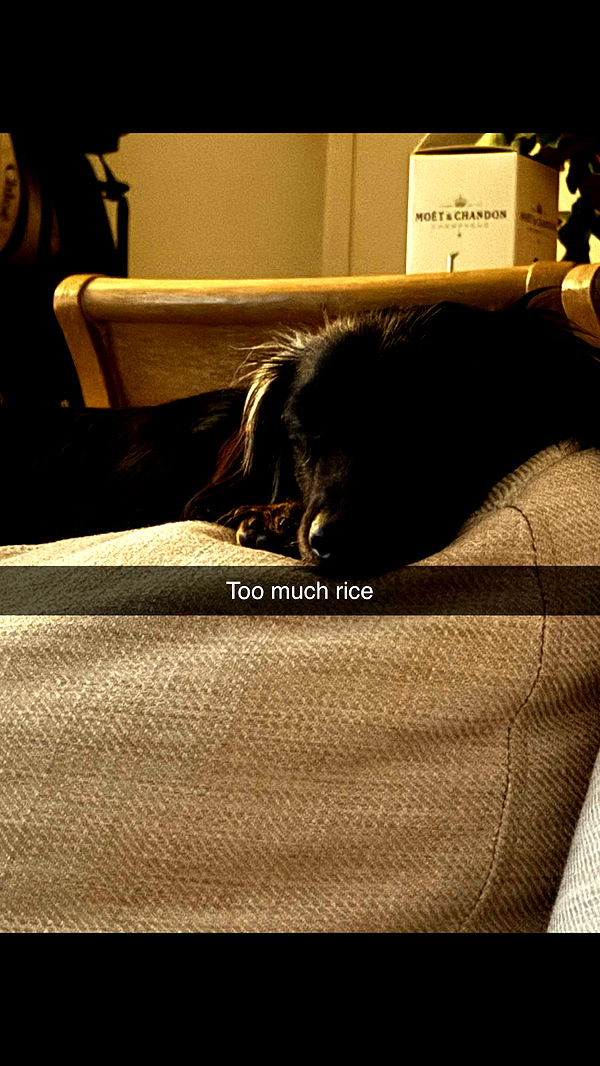 ppwyang0 image ~ Altpins