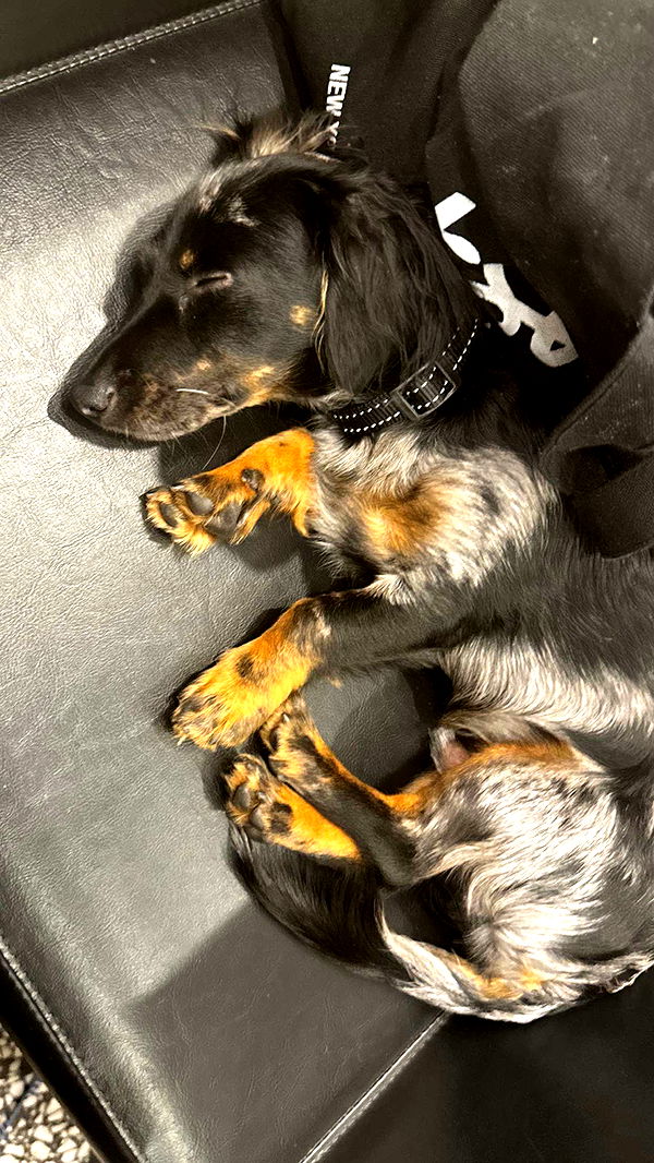 ppwyang0 image ~ Altpins