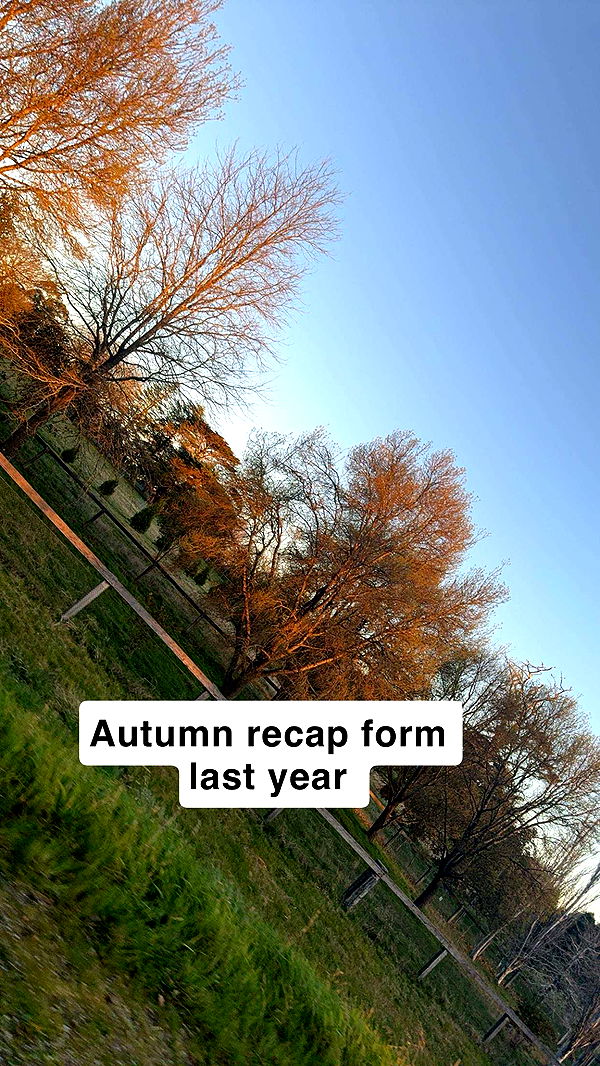 ppwyang0 image ~ Altpins