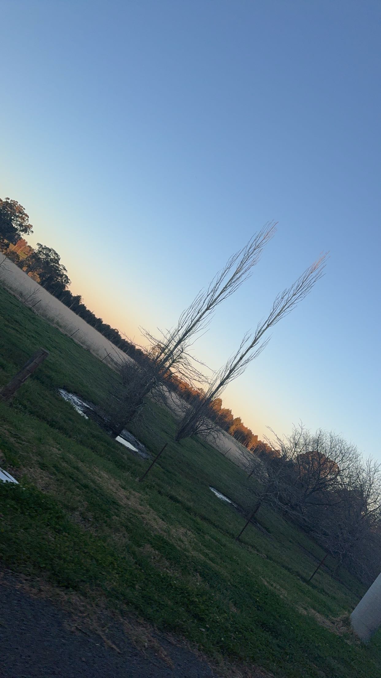 ppwyang0 snapchat image archive image