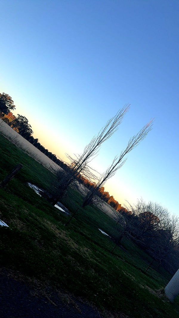 ppwyang0 image ~ Altpins