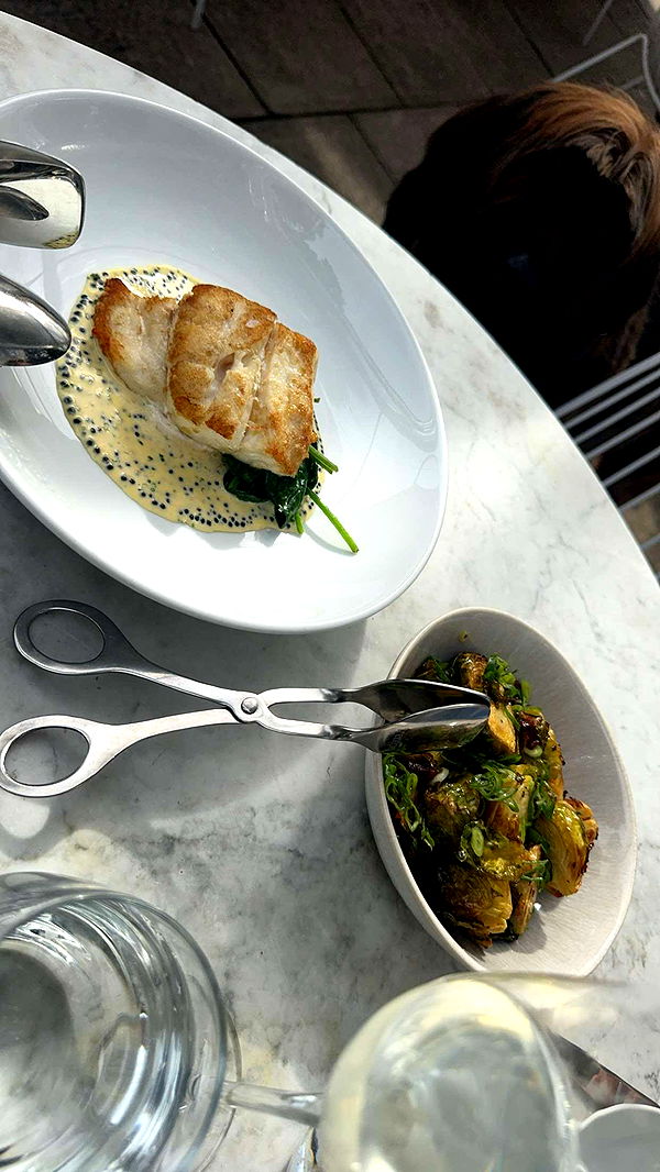 ppwyang0 image ~ Altpins