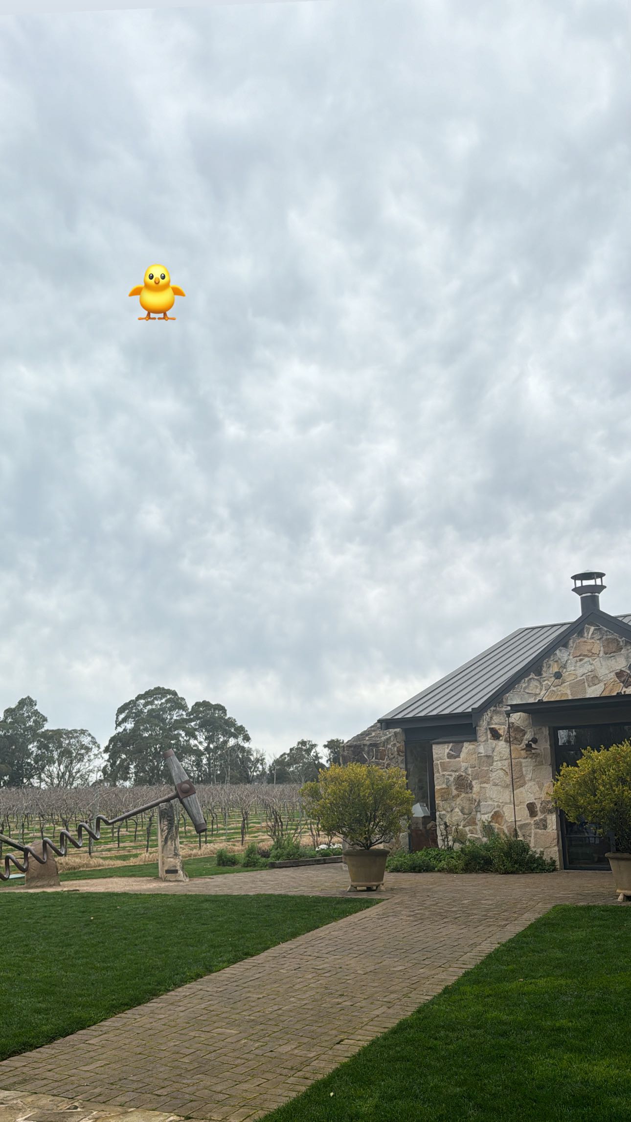 ppwyang0 snapchat image archive image