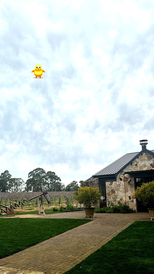 ppwyang0 image ~ Altpins