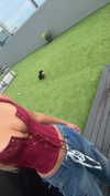 ppwyang0 Altpins Profile Picture