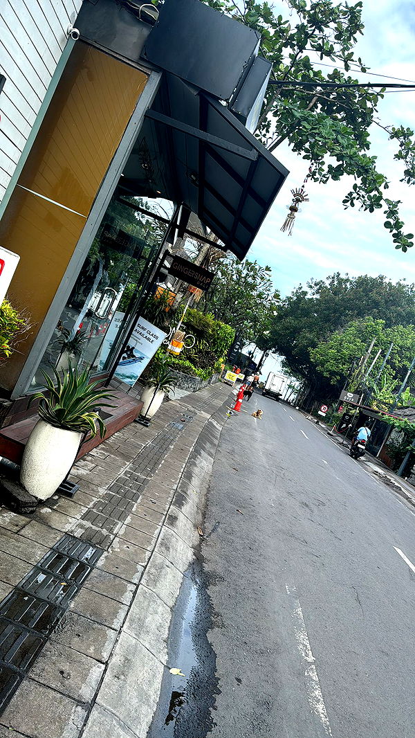 ppwyang0 image ~ Altpins