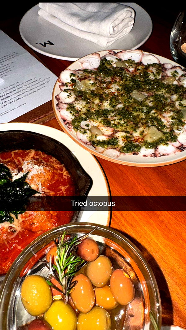 ppwyang0 image ~ Altpins