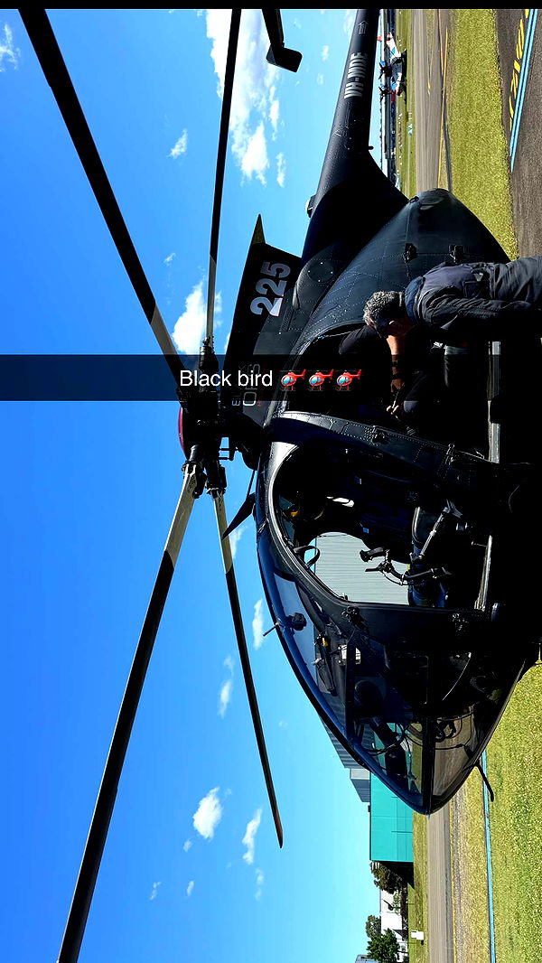 ppwyang0 image ~ Altpins