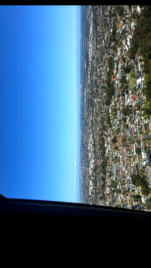 ppwyang0 image ~ Altpins