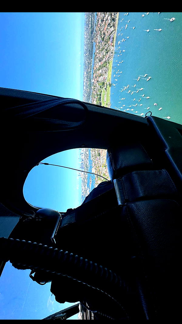 ppwyang0 image ~ Altpins