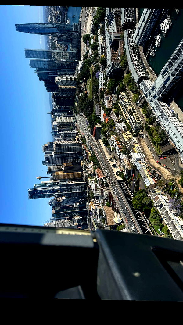 ppwyang0 image ~ Altpins