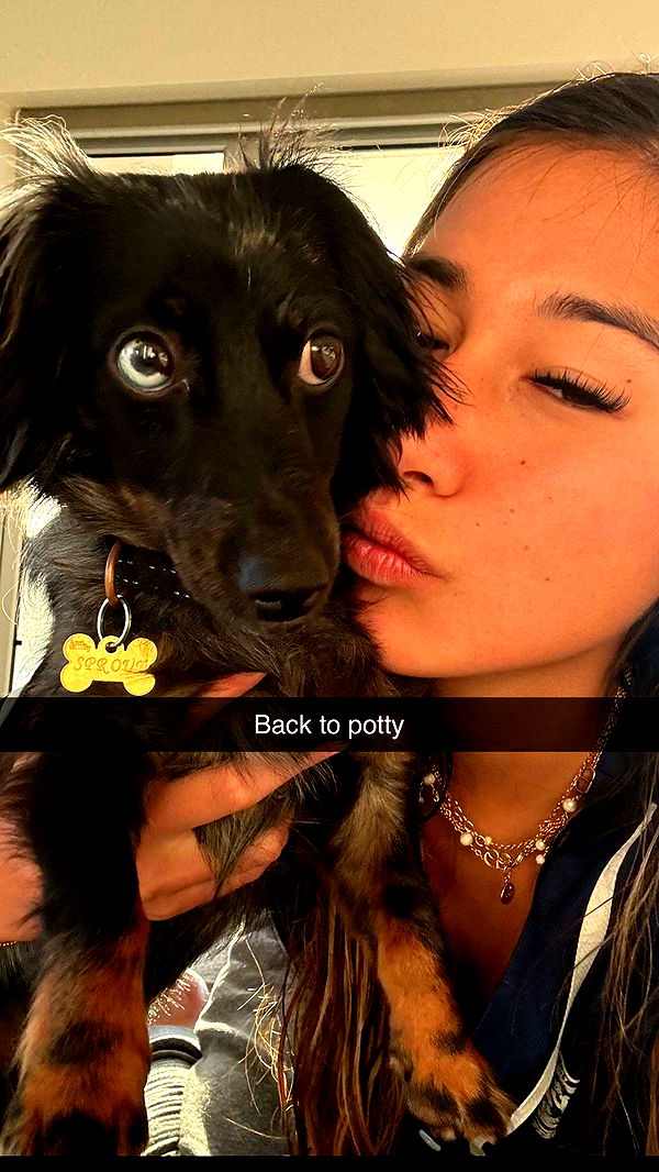 ppwyang0 image ~ Altpins