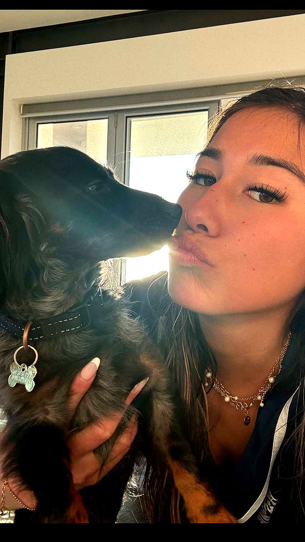 ppwyang0 image ~ Altpins