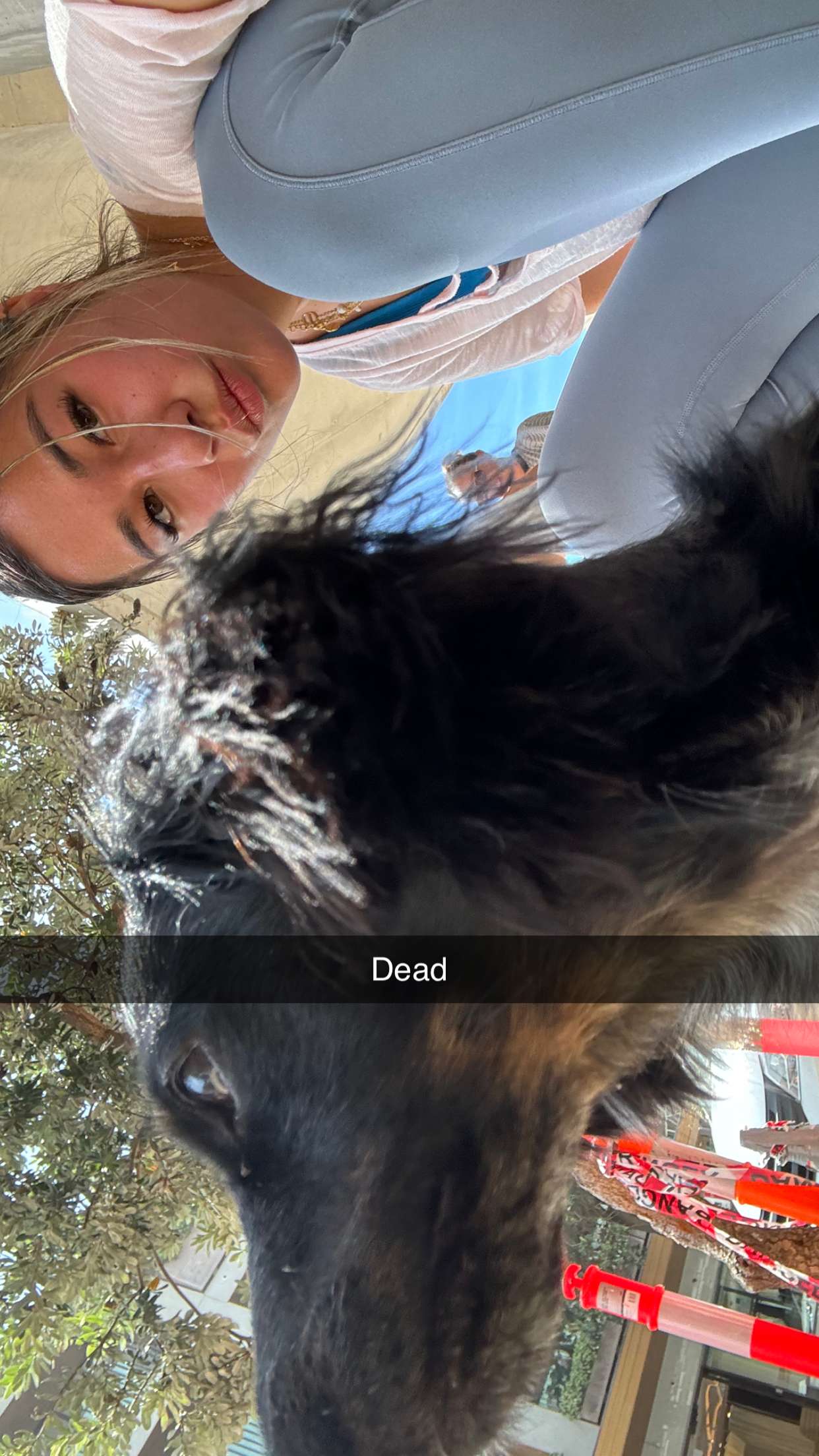 ppwyang0 snapchat image archive image