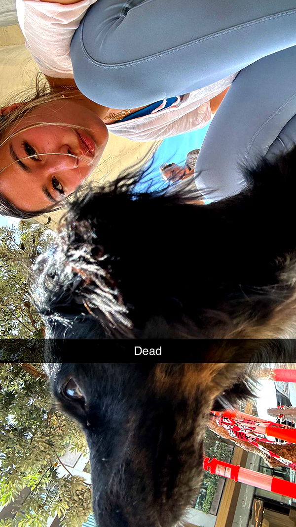 ppwyang0 image ~ Altpins