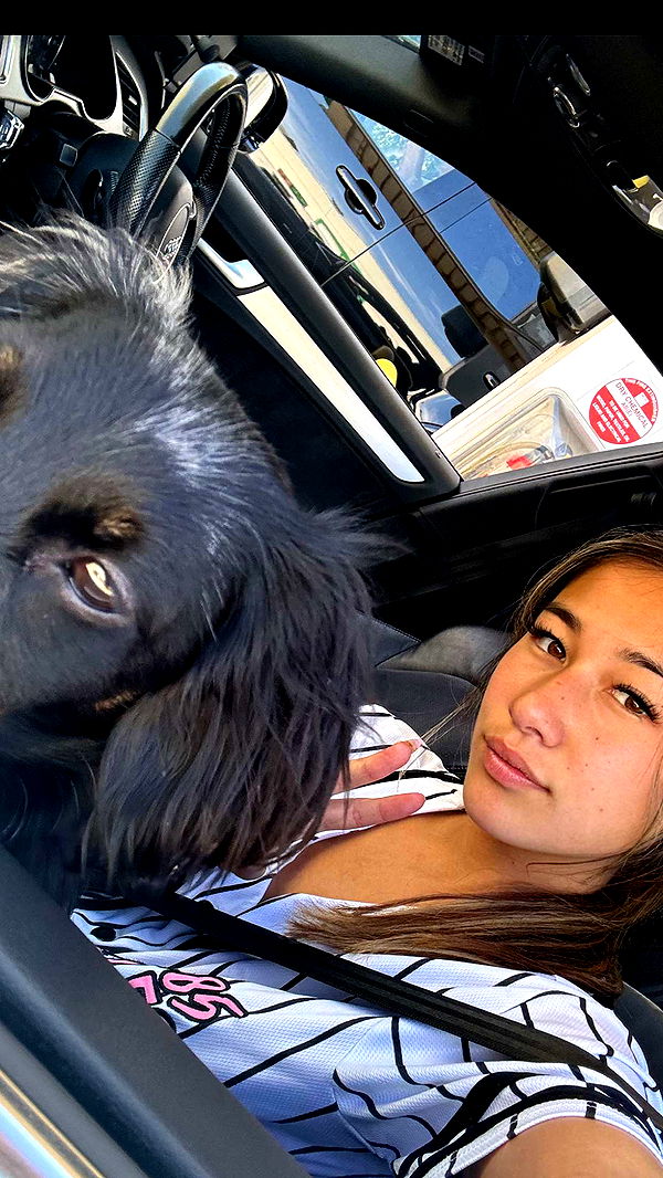 ppwyang0 image ~ Altpins