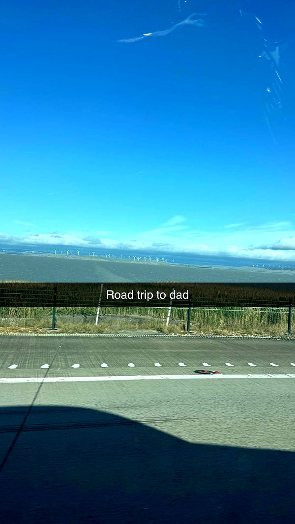 ppwyang0 image ~ Altpins