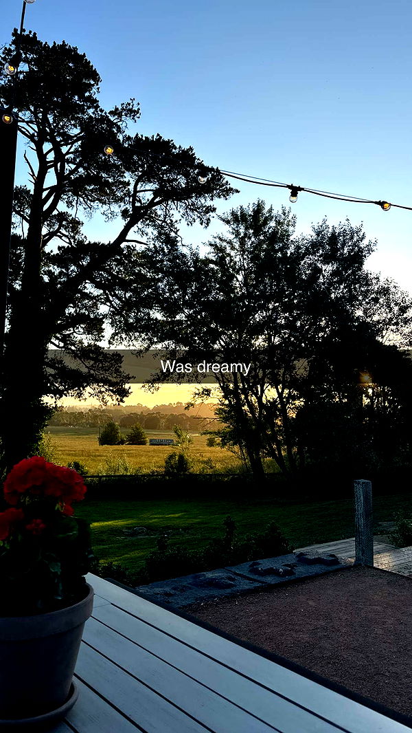 ppwyang0 image ~ Altpins