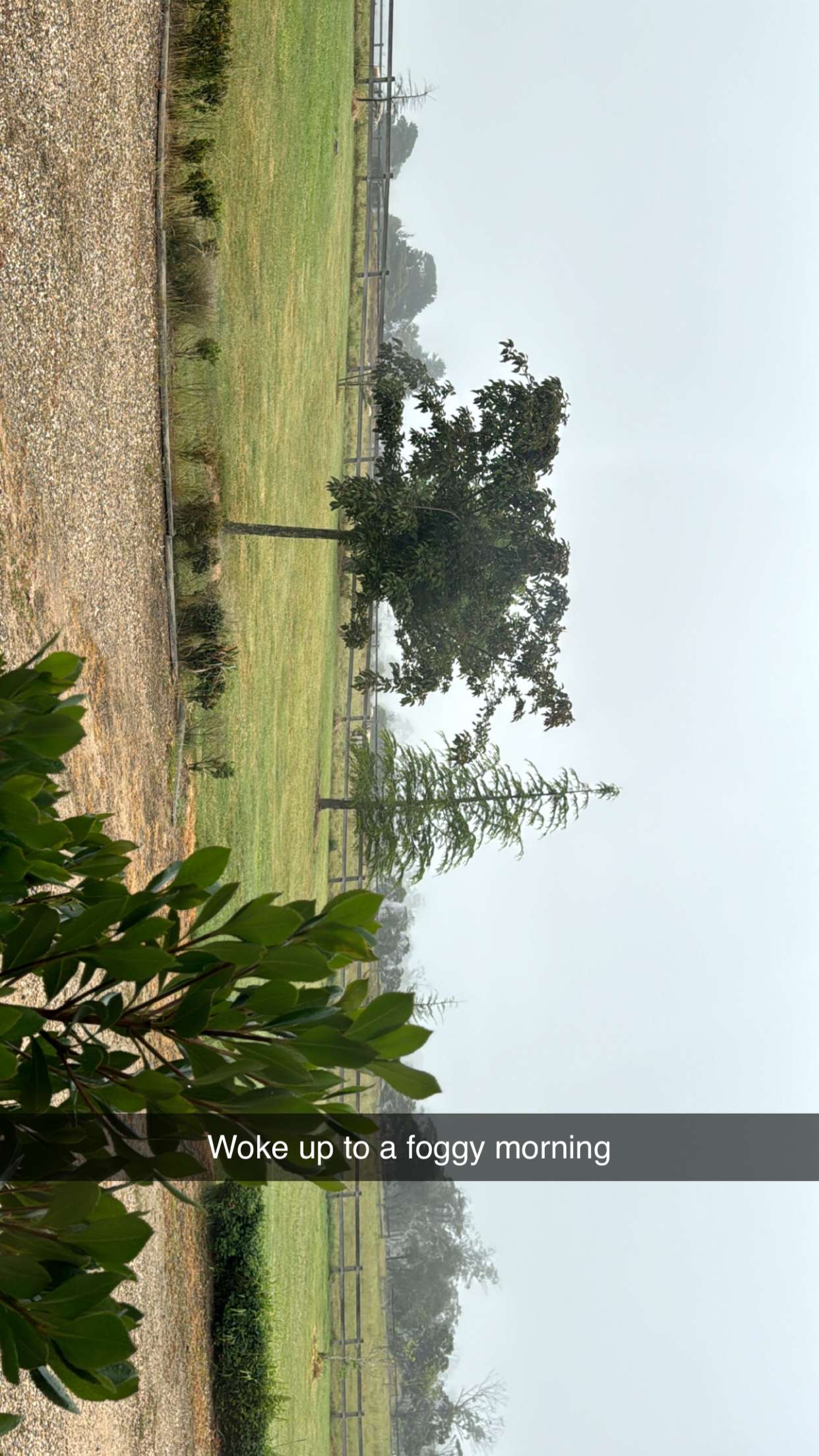 ppwyang0 snapchat image archive image