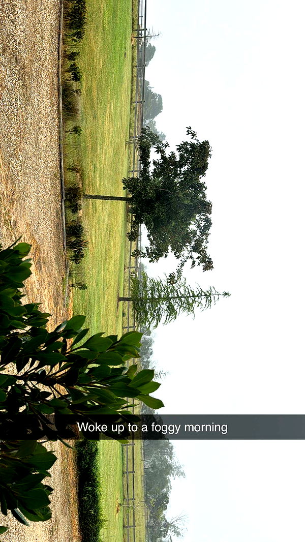 ppwyang0 image ~ Altpins