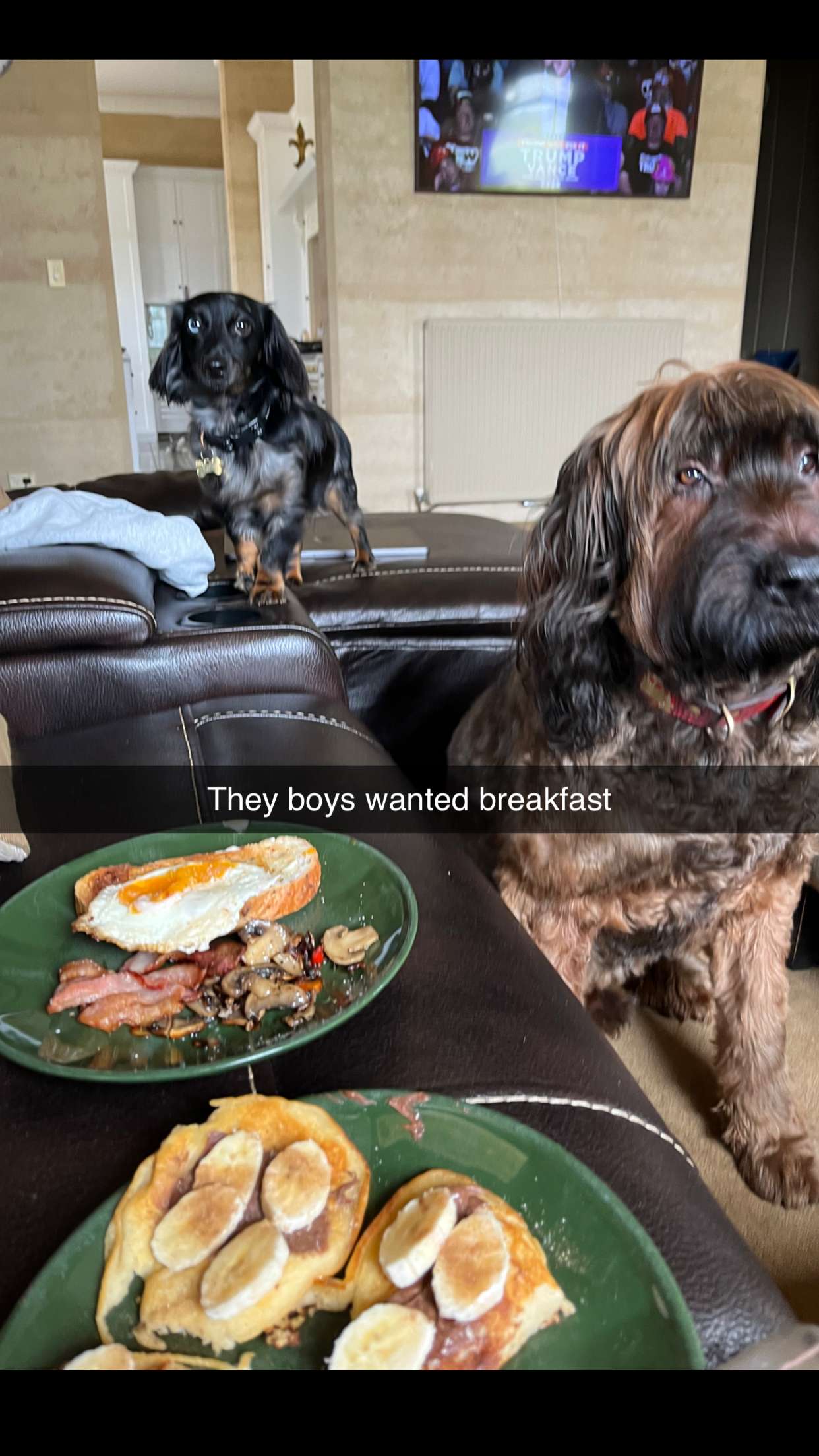 ppwyang0 snapchat image archive image