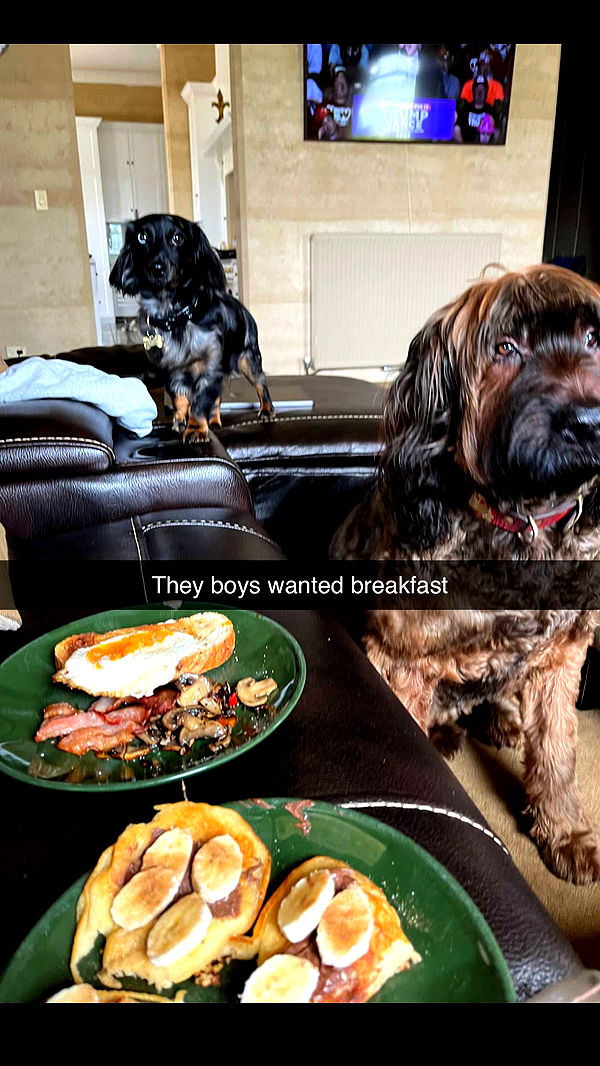 ppwyang0 image ~ Altpins