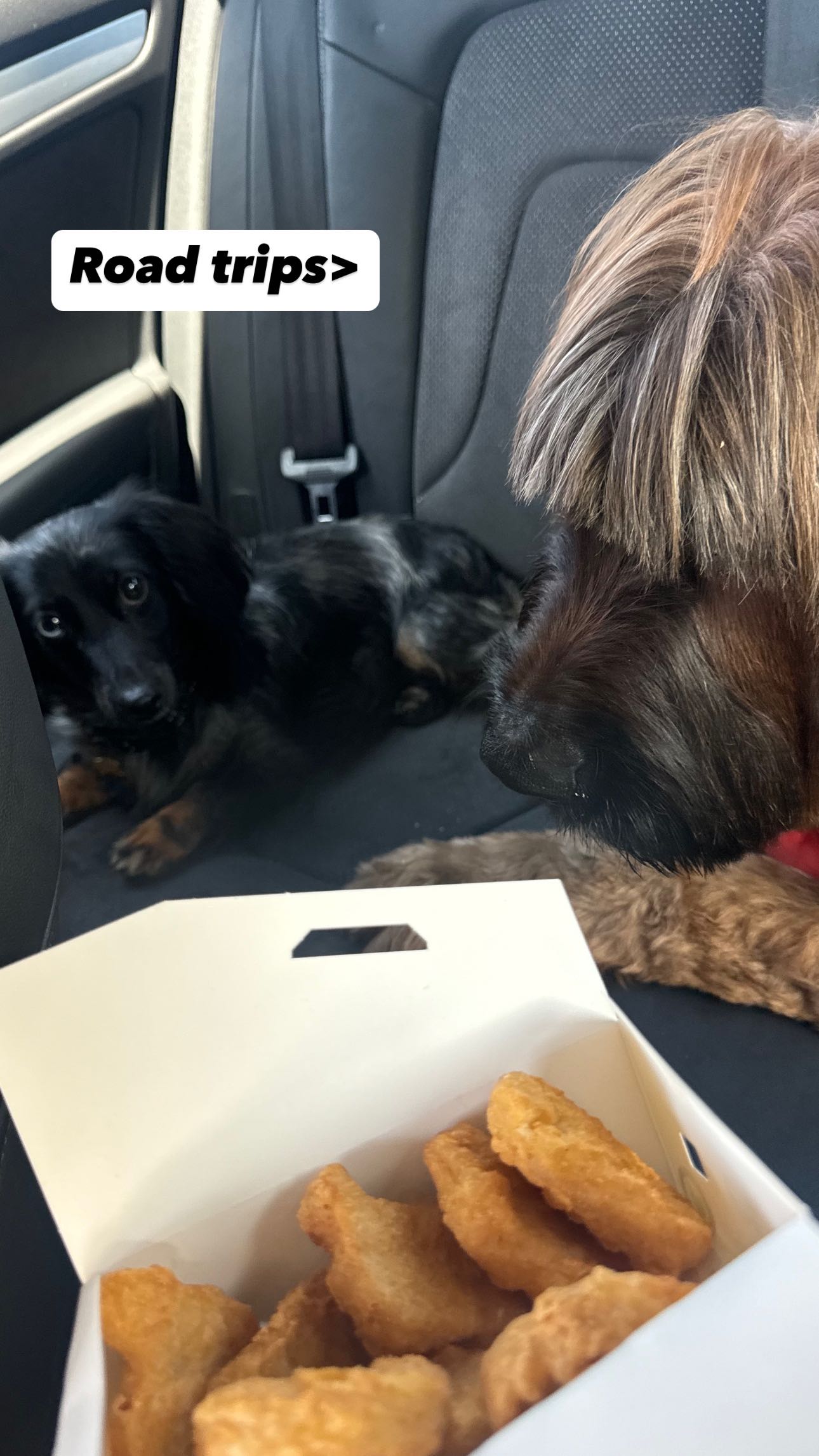 ppwyang0 snapchat image archive image