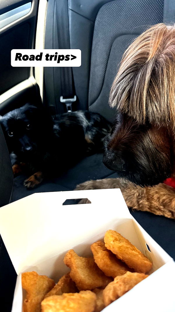 ppwyang0 image ~ Altpins